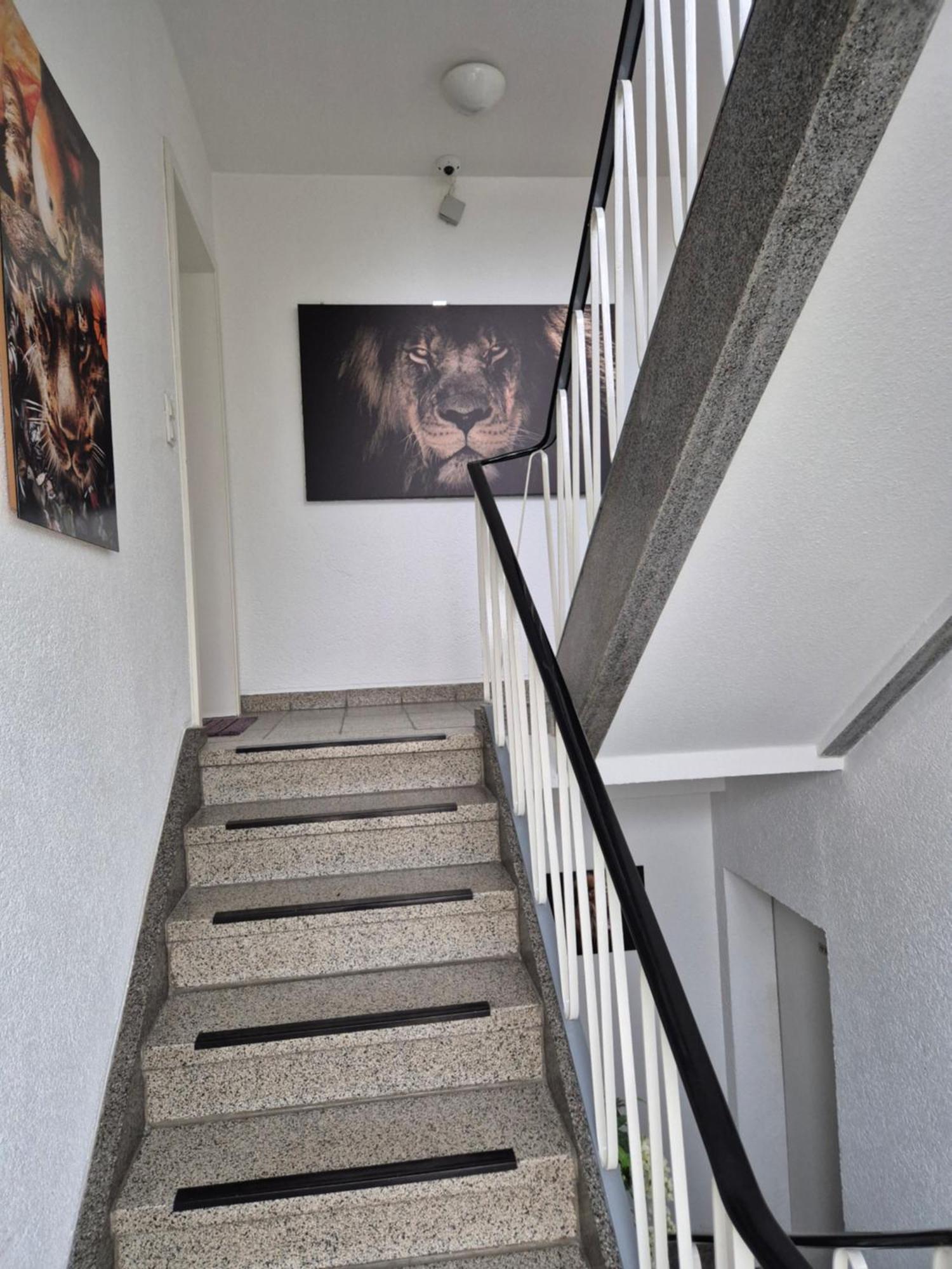 Ferienwohnungen Waldina Siegen Esterno foto